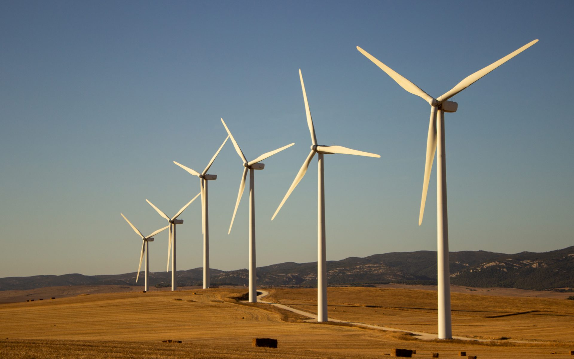 Egypt: Commercial Operations Begin at Africa's Largest Wind Farm