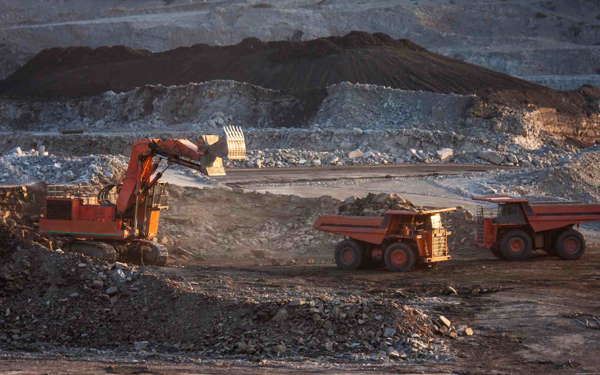 Category Sample Image