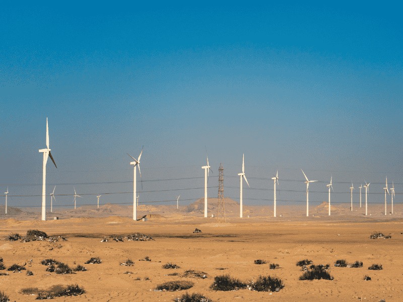 Egypt Taps Engie for 900 MW Onshore Wind Project Near Ras Shokeir